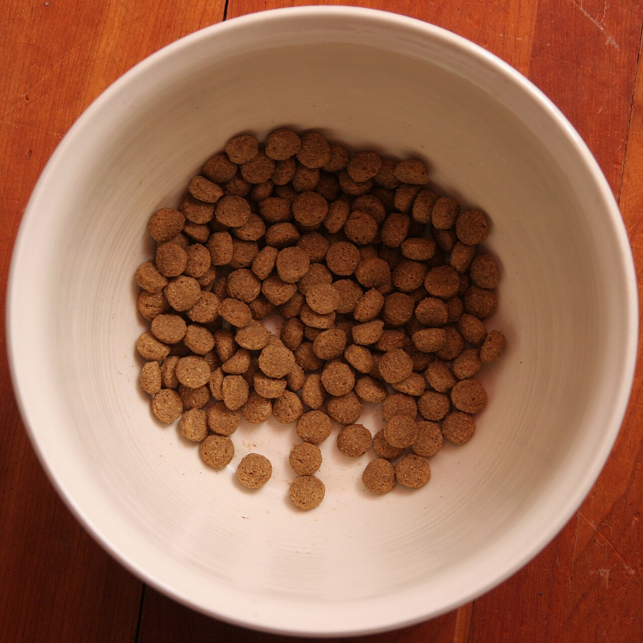 Dietas frescas comerciais chegam a 80% de umidade, quase dez vezes mais água do que a ração seca tradicional. Foto: James Redekop / Wikimedia Commons (CC BY-SA 2.0)